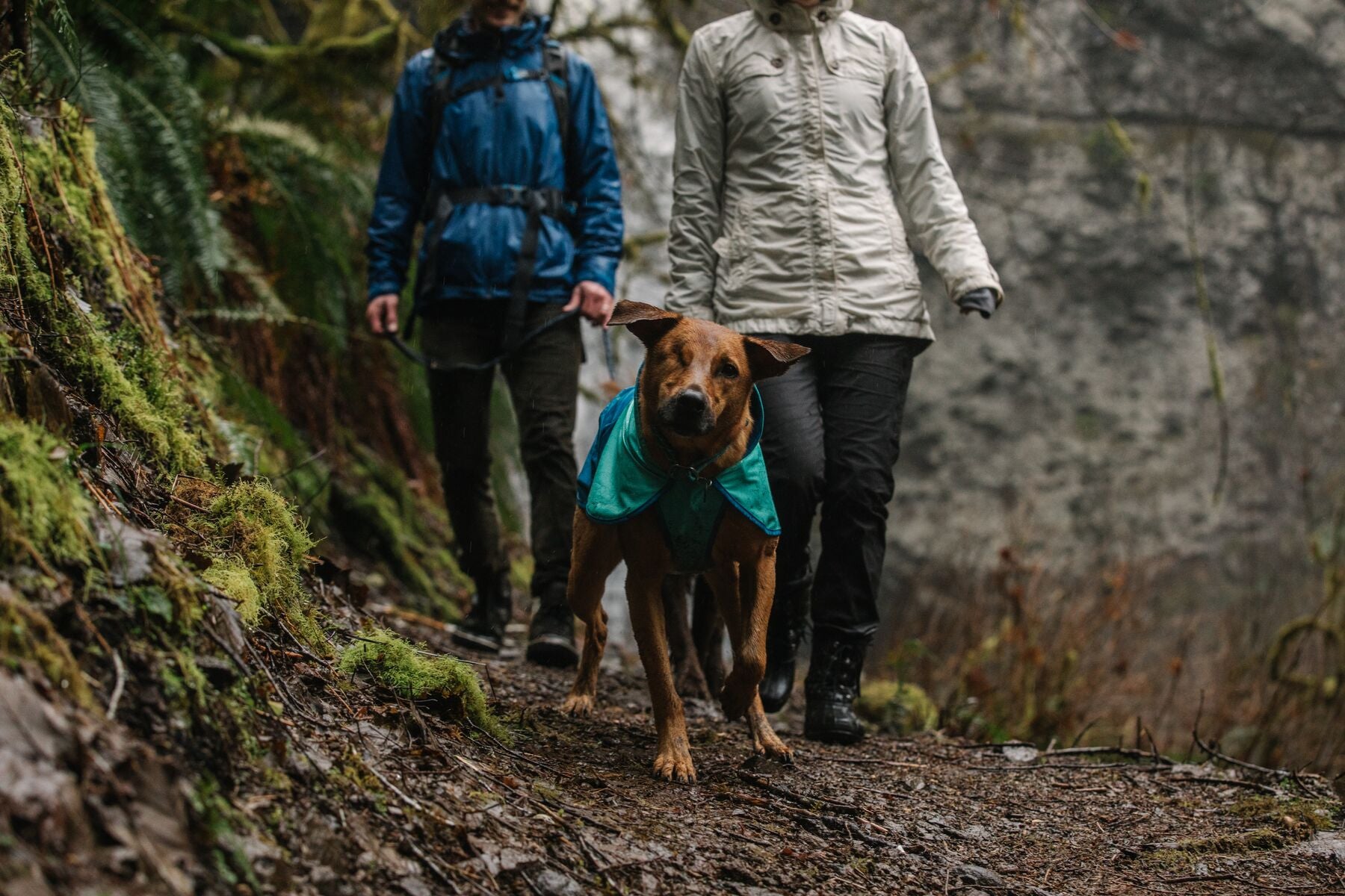 Waterproof Dog Raincoat - Ruffwear® Sun Shower® Dog Vest in Hibiscus Pink (Magenta Rosa) for Outdoor Adventures & Rainy Day Walks