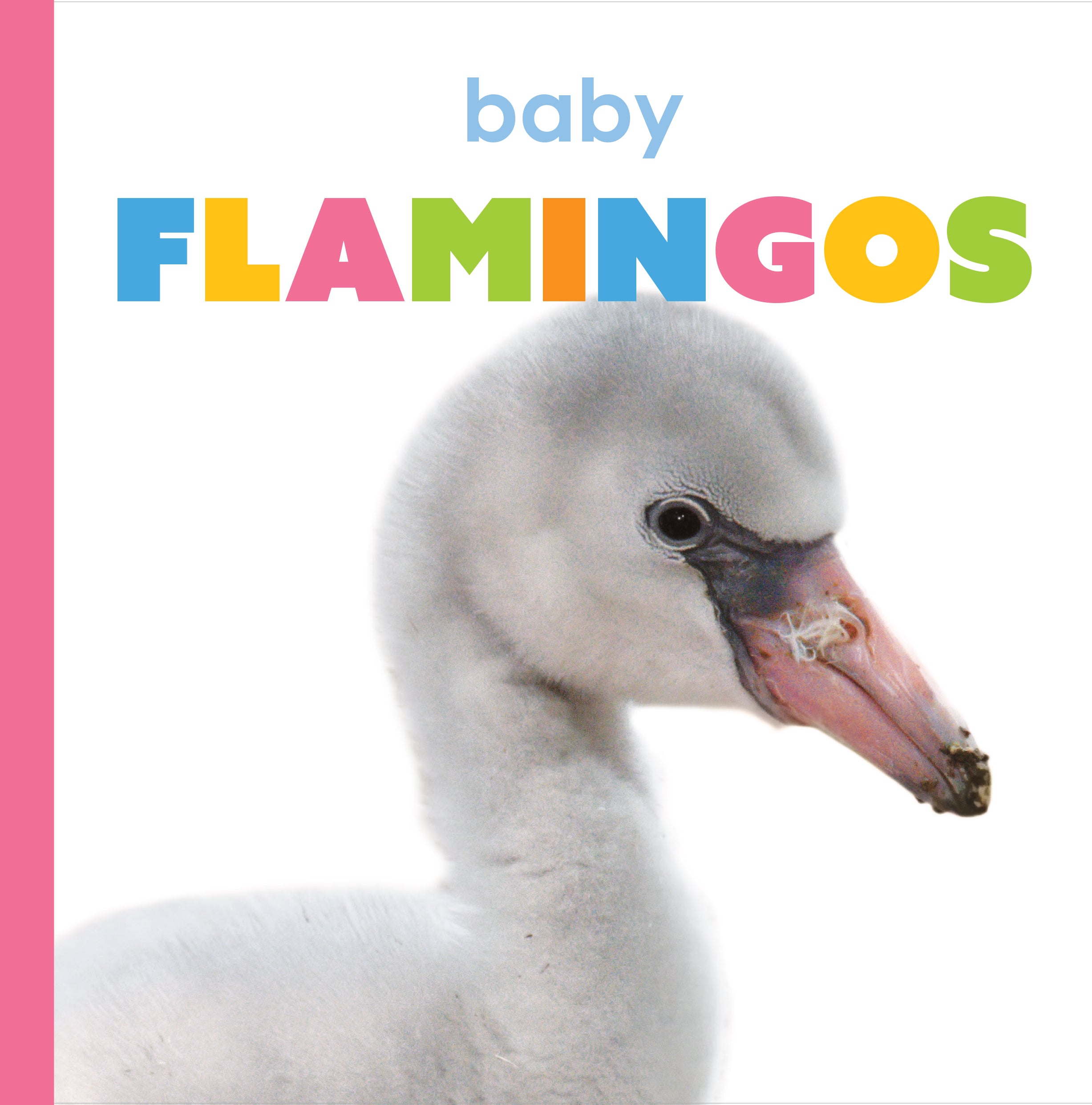 Baby Flamingos Book - ISBN 9781640263475 - Perfect for Kids' Bedtime Stories & Animal Lovers