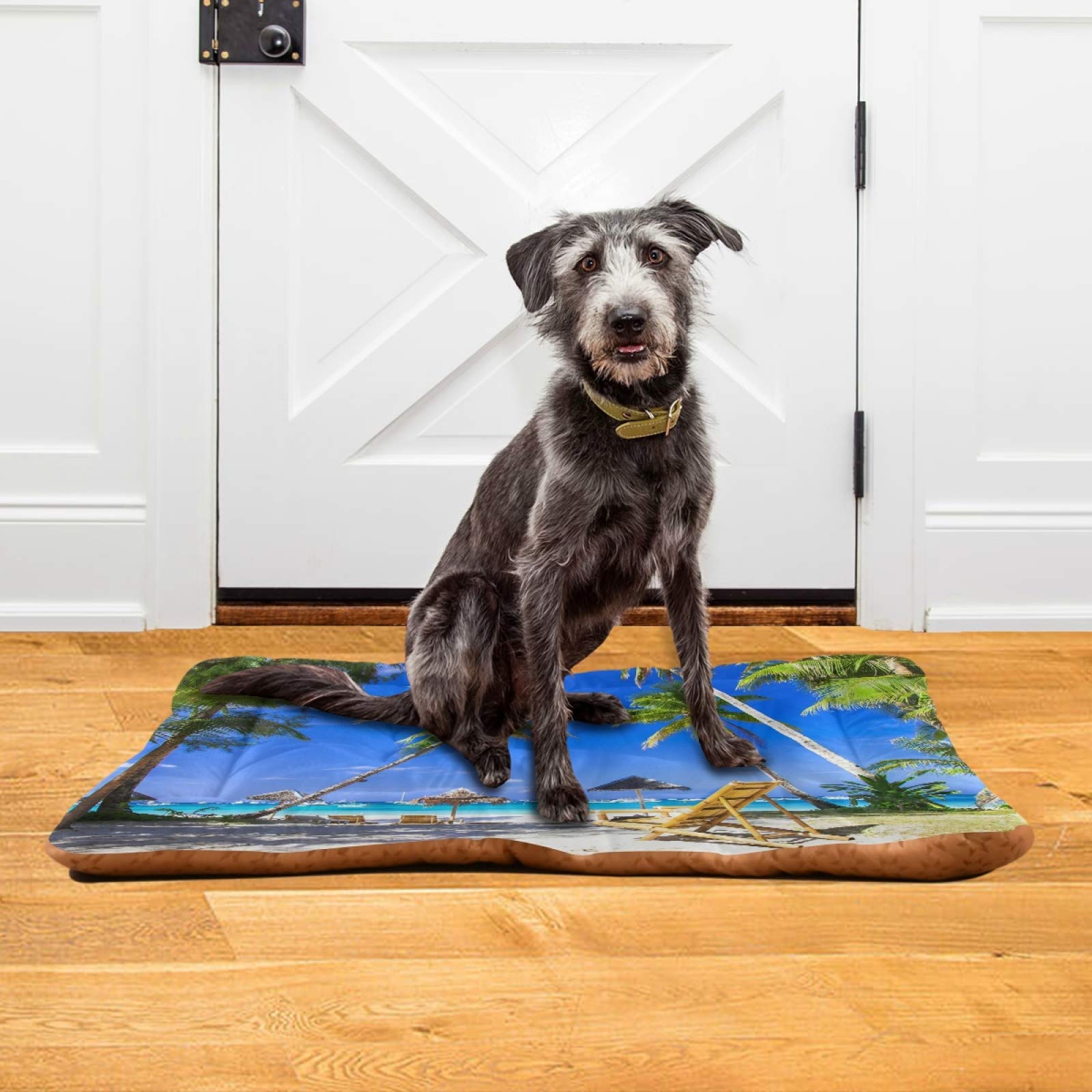 Paradise Island Orthopedic Dog Bed for Small Medium Dogs & Cats - 24x18 Inch Ultra Soft Calming Pet Bed with Removable Washable Cover - Perfect for Crates, Living Rooms & Bedrooms