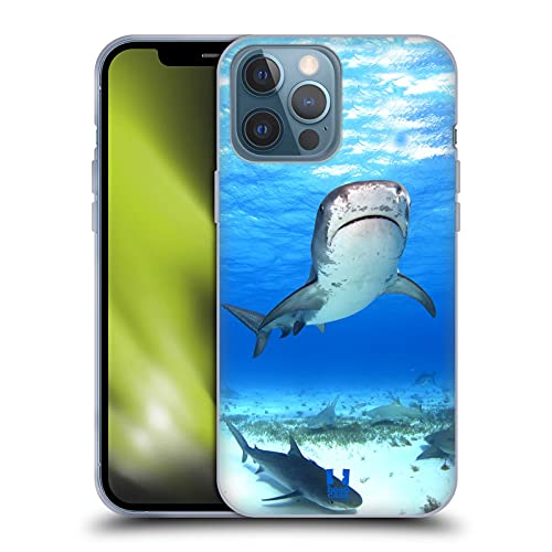 Tiger Shark
