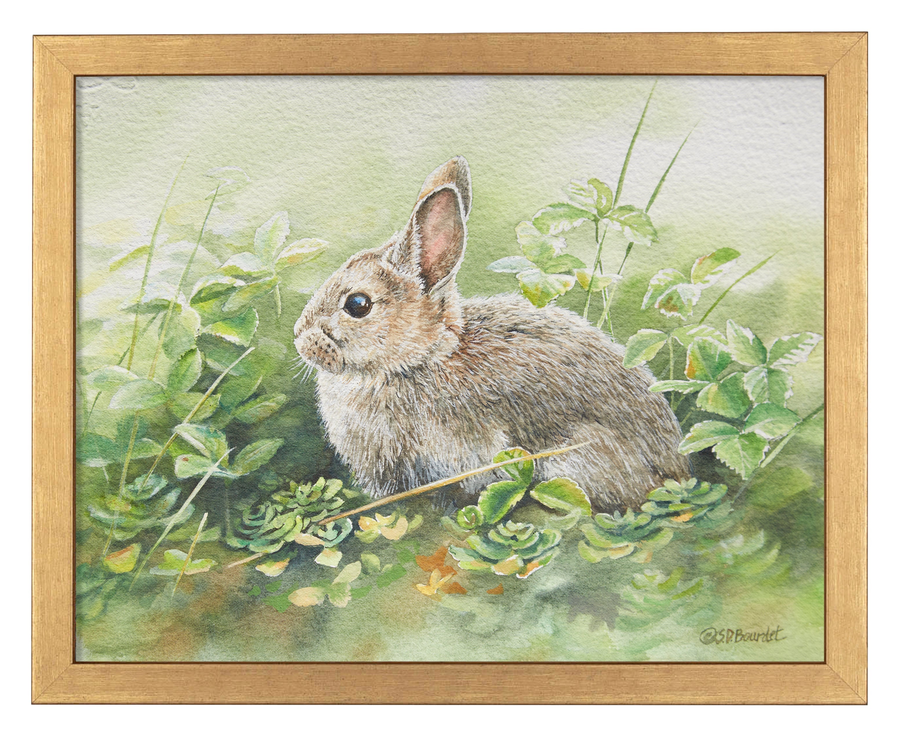 Cottontail Adventure Art Prints - Beautiful Rabbit Wall Decor for Nursery, Kids Room & Home - Perfect Gift for Animal Lovers