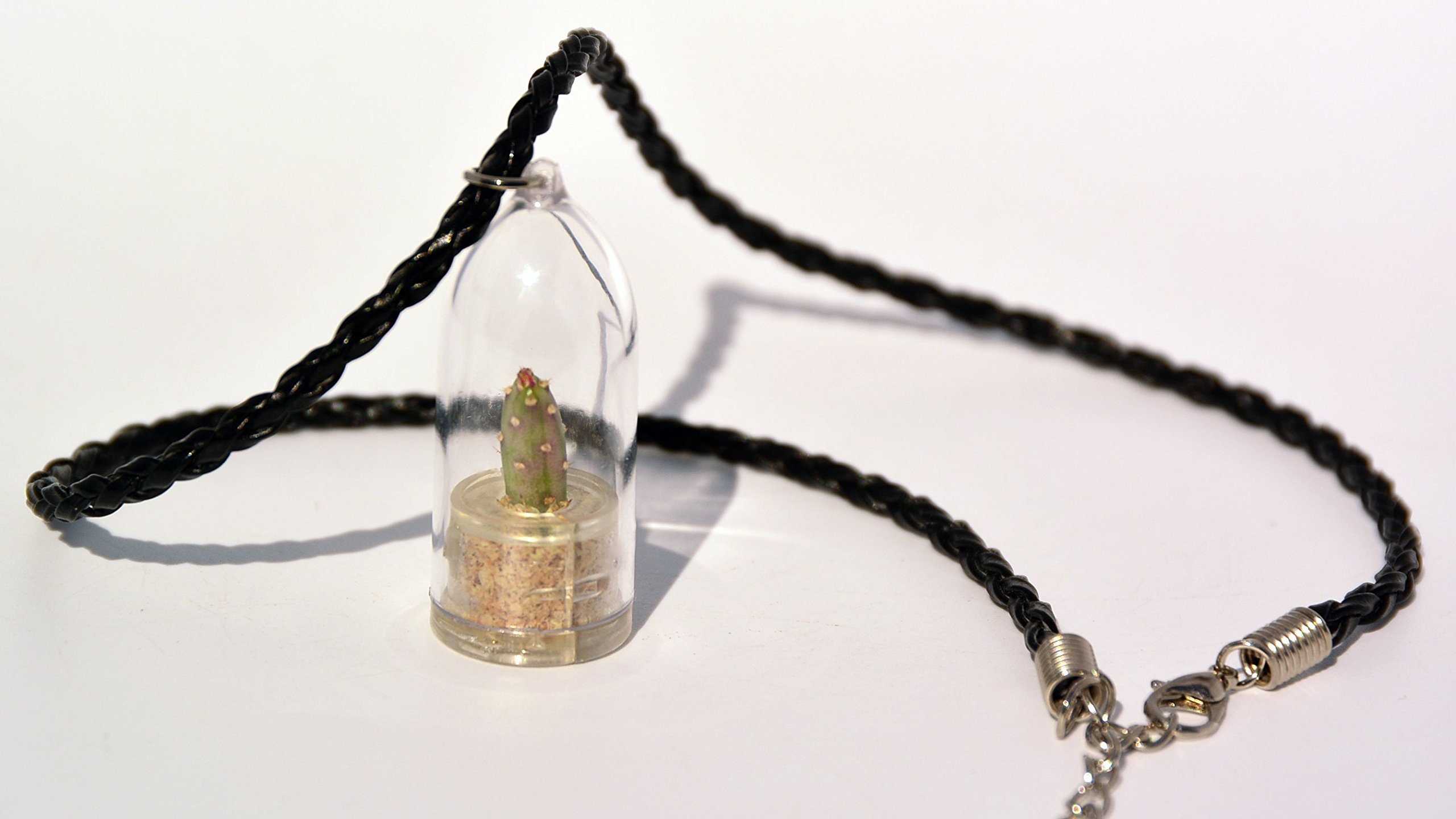 Goldy Cactus Terrarium Live Plant Necklace - 18