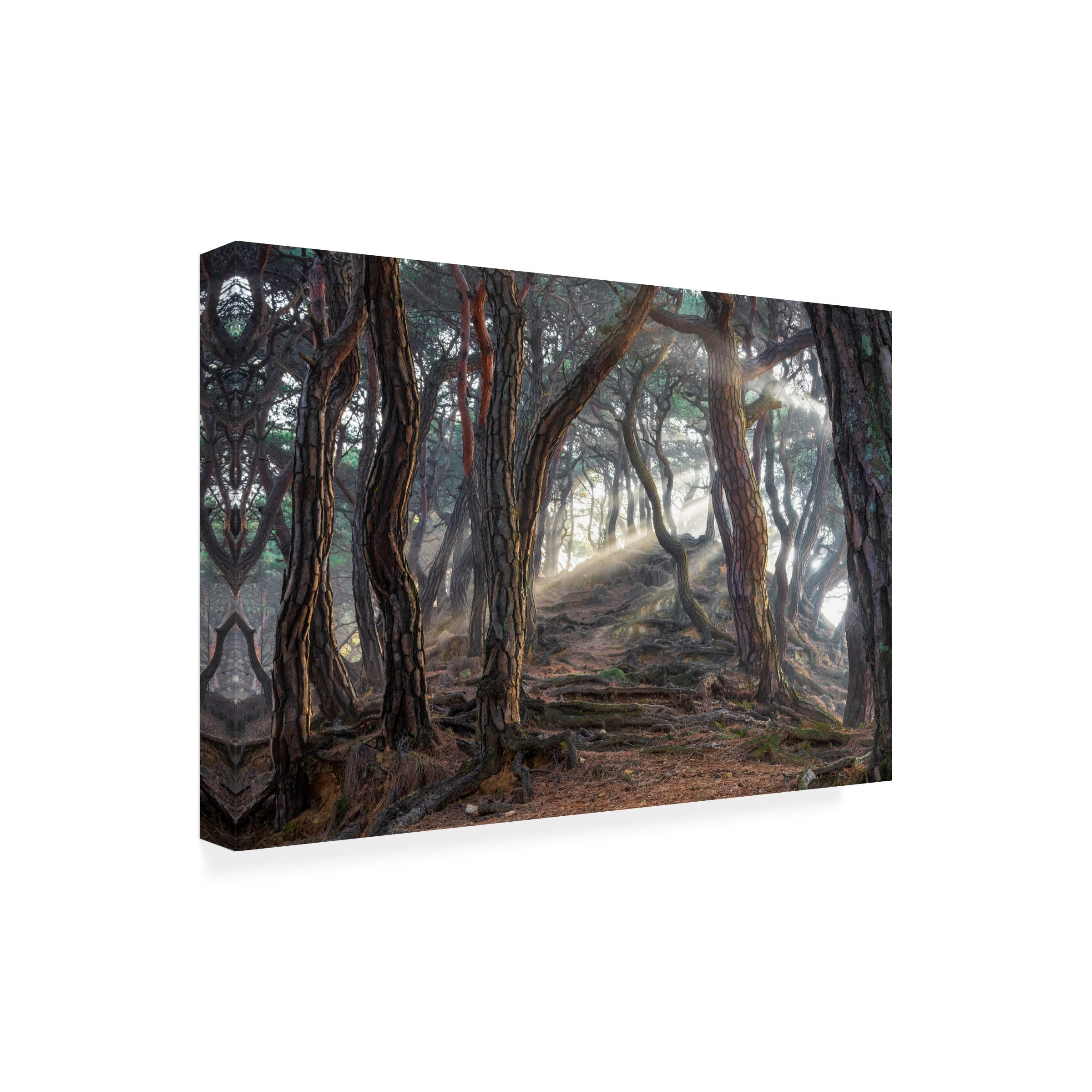 Trademark Fine Art 'Sacred Pine Forest' by Jaeyoun Ryu - Premium Canvas Wall Art for Living Room, Bedroom & Office Decor