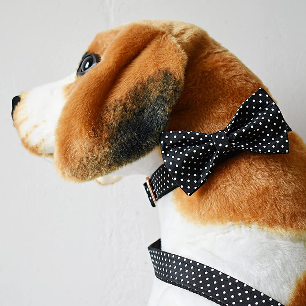 Personalized Dog Collar with Name & Phone Number - for Small Medium Large Pets - Perfect for Walks & ID Safety
