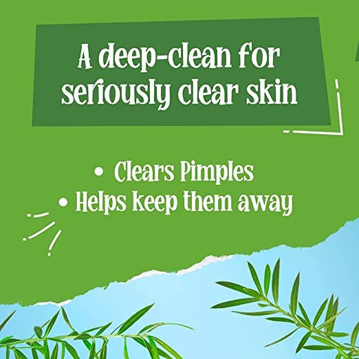 Econature Enzyme Face Wash for Women & Men - Gentle Foaming Exfoliating Cleanser with Papaya Extract - Moisturizing & Brightening Facial Wash (120ml) | Perfect for Daily Skincare Routine & Achieving Radiant Glow