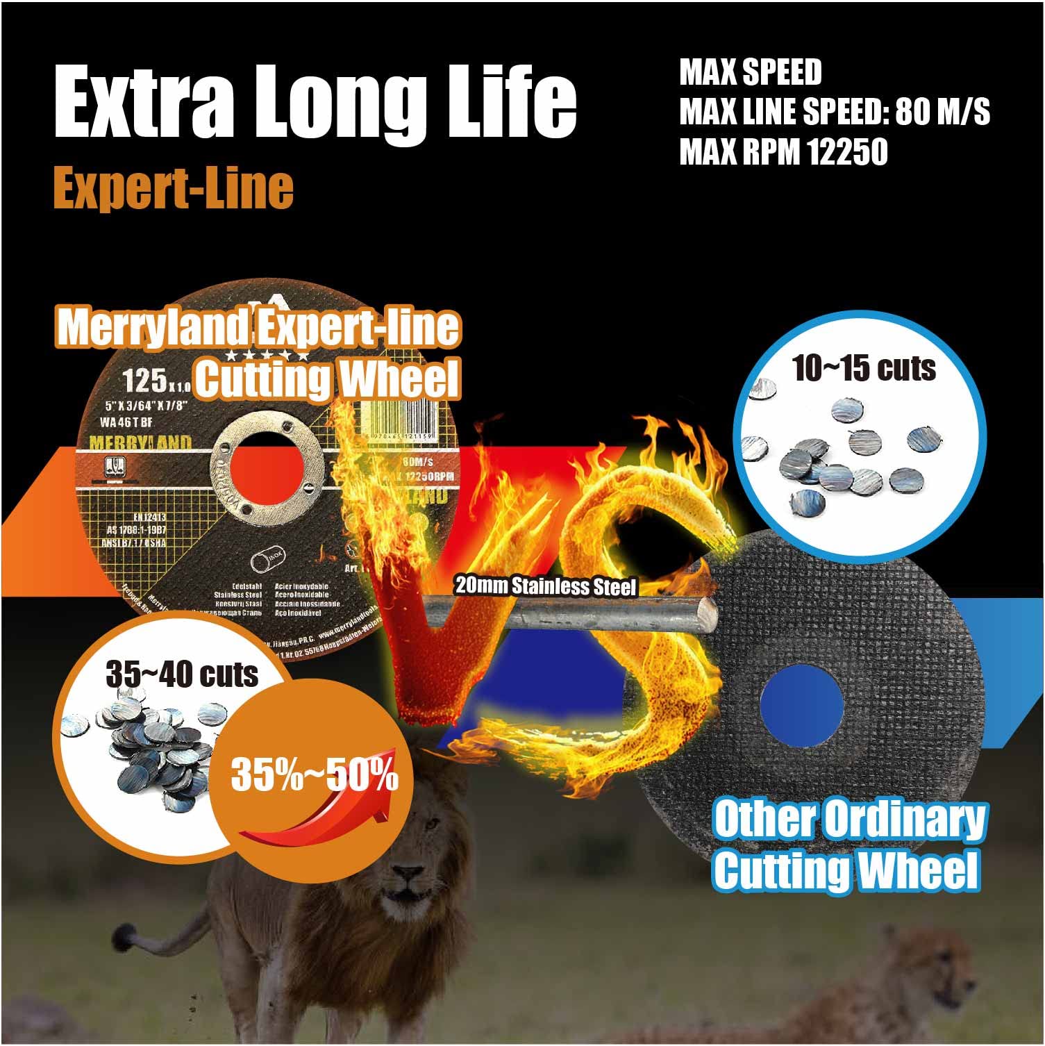 5 Inch Metal Grinding Wheel 10 Pack - 5 x 1/4 x 7/8 Angle Grinder Discs for Iron, Steel & INOX - Merryland Expert-Line E31086043 - Perfect for Metal Fabrication, Welding & DIY Projects