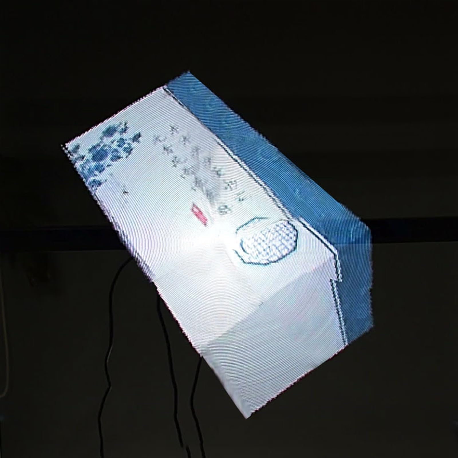 XNZJHPP 3D Hologram Display Fan - LED Holographic Advertising Screen with 360° Viewing Angle for Store Promotion, Event Marketing, and Trade Shows