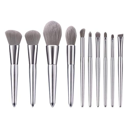 10Pcs Silver Makeup Brush Set - Blusher & Eyeshadow Brushes for Professional Makeup Application