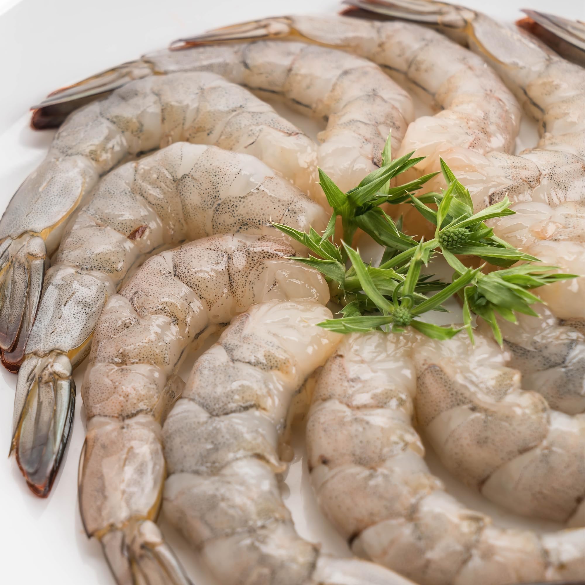 Today Gourmet Foods of NC - Uncooked Black Tiger Shrimp - Headless, Peeled, Deveined, 16/20 Count (5lb Package) - Perfect for Grilling, Stir-Fry, Pasta & Seafood Dishes