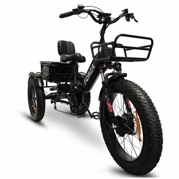 Go Bike FORZA Electric Tricycle for Adults - 500W Motor, 20MPH, 48V 15Ah Battery - Commuter, Leisure & Grocery Shopping E-Bike