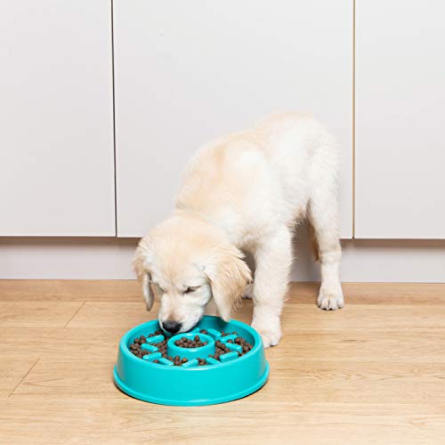 ZippyPaws Happy Bowl Slow Feeder Dog Bowl - Non-Slip, Dishwasher Safe Pet Food Bowl - Slows Eating Up to 10x - Perfect for Fast Eaters & Digestion - Great for Mealtime Fun & Training