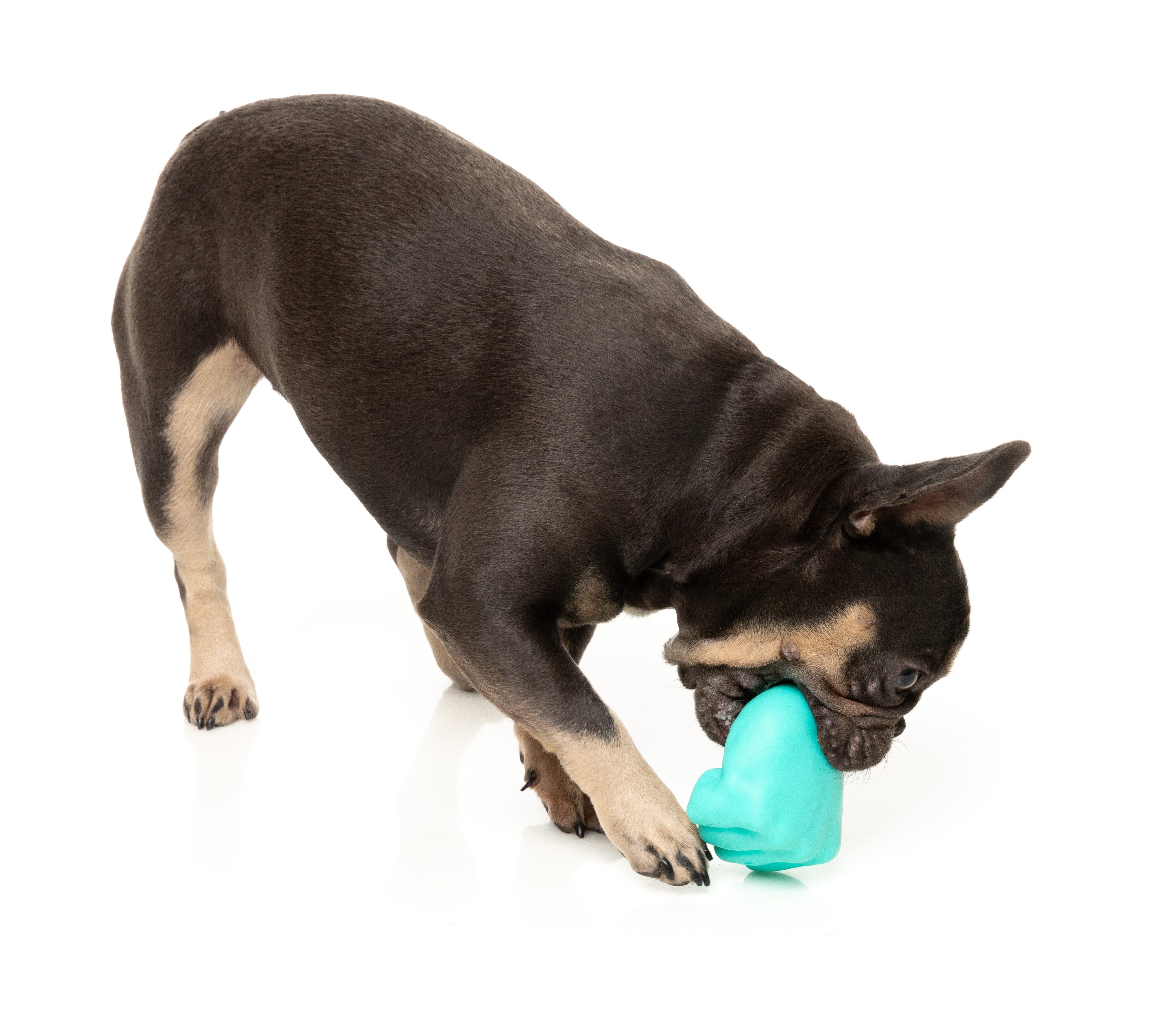 Fuzzyard Interactive Dog Chew Toy with Treat Dispenser - Knuckle Sandwich Design for Boredom Relief & Dental Health | Perfect for Training, Playtime & Anxiety Relief