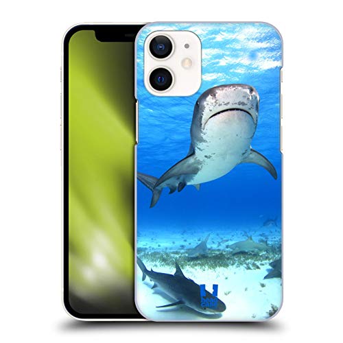 Tiger Shark