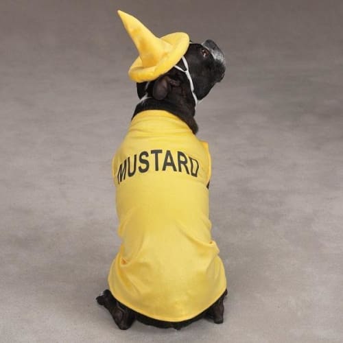 Mustard Yellow Dog Halloween Costume for Small & Medium Dogs - Funny Pet Costume for Halloween Parties & Photo Shoots