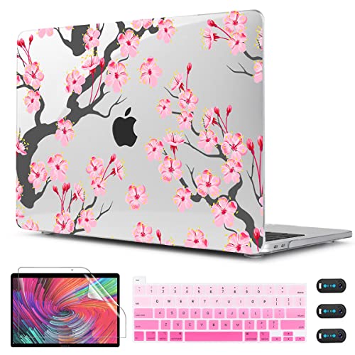 Cherry blossoms