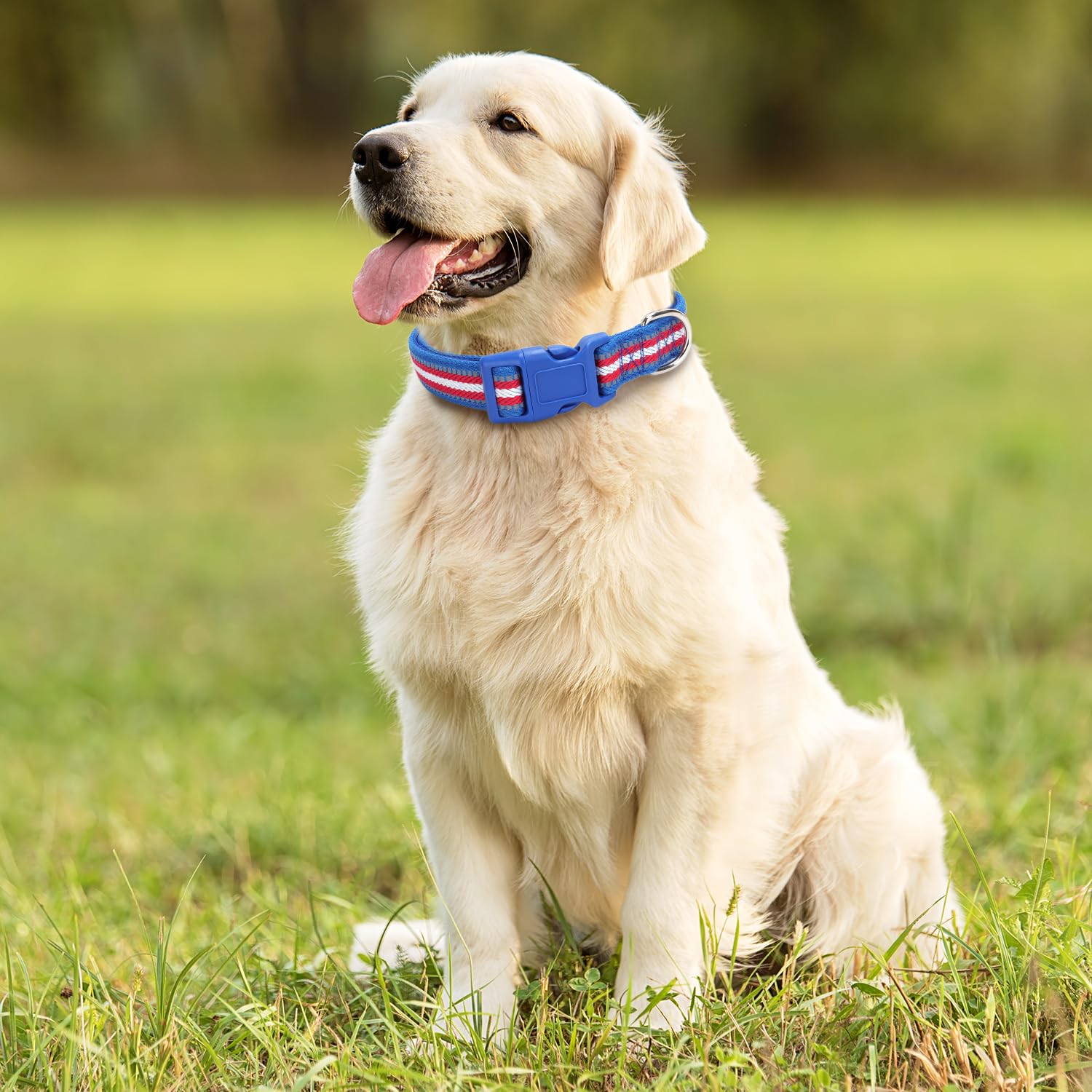 TDTOK Reflective Nylon Dog Collar - Soft Neoprene Padded Pet Collar with Safety Buckle for Small, Medium & Large Dogs | Adjustable Comfort Collar (9.8-23.6 inch Neck) for Indoor & Outdoor Walking, Training & Night Safety