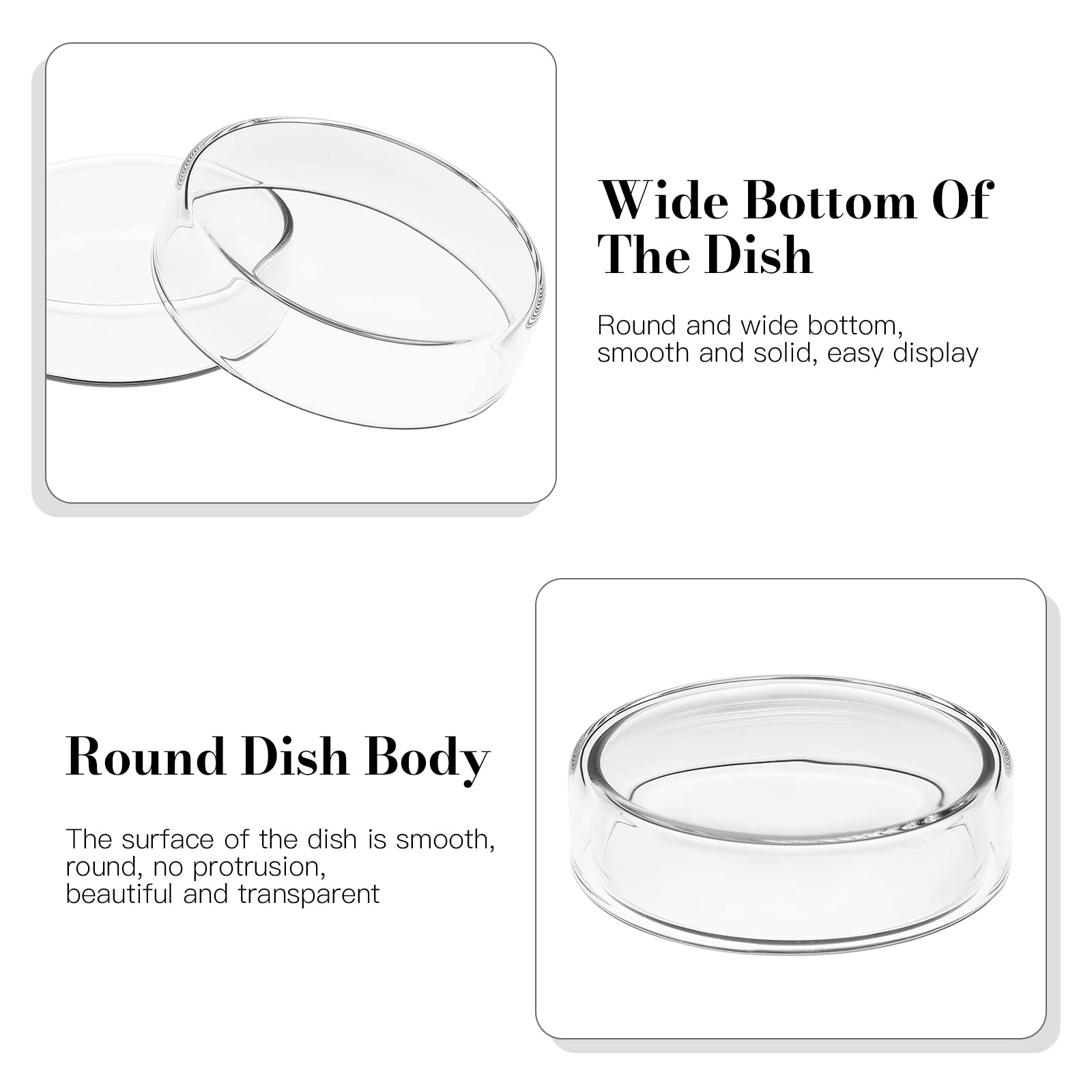 Sterile Glass Petri Dishes with Lids - 5Pcs High Borosilicate Lab-Grade Culture Dishes for Microbiology, Cell Culture & Science Experiments | Perfect for Laboratories, Classrooms & Home Science Projects
