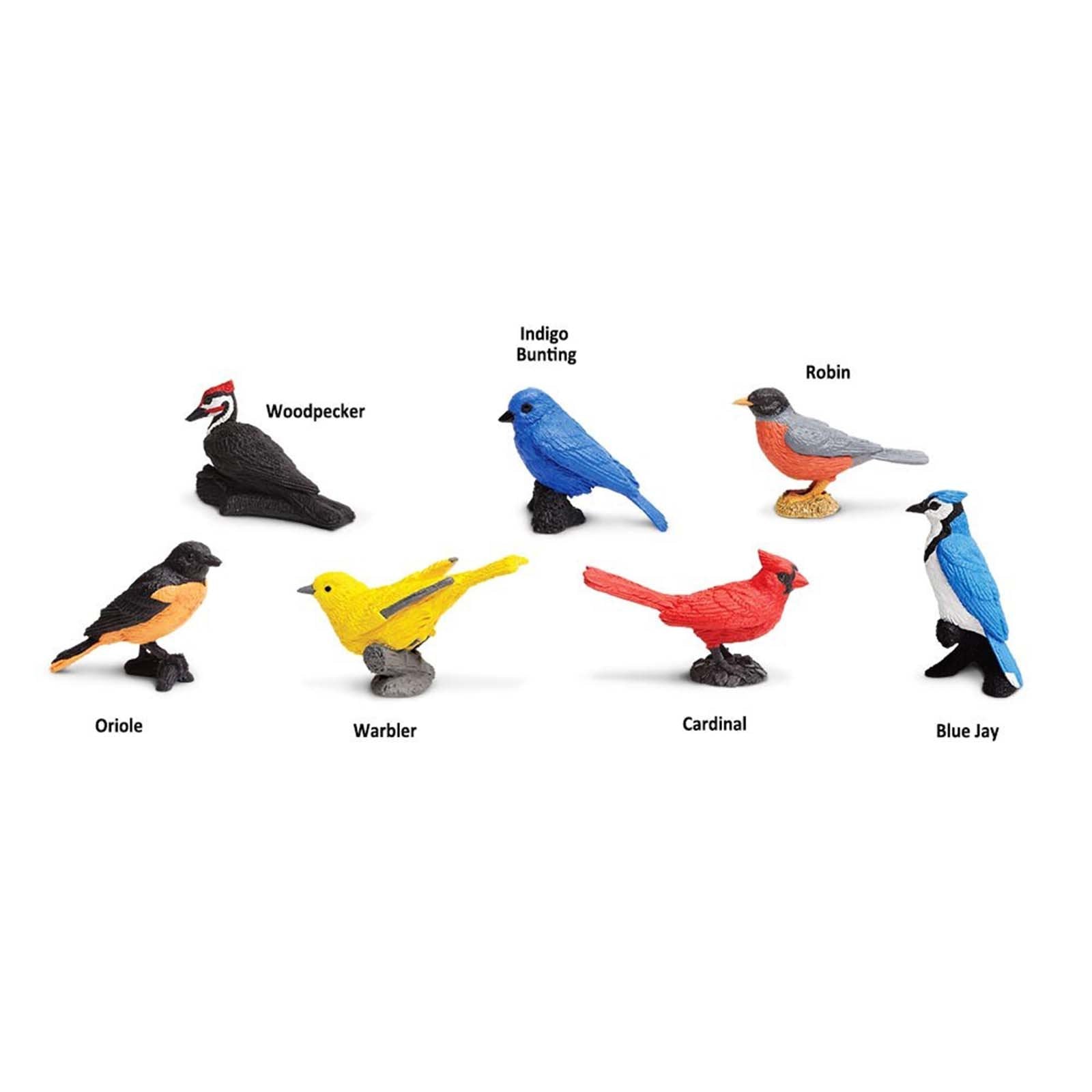Safari Ltd Backyard Birds Toob Miniature Figurines - Realistic Bird Toy Figures for Kids, Collectors & Educational Play - Perfect for Nature Exploration, Classroom Learning & DIY Crafts