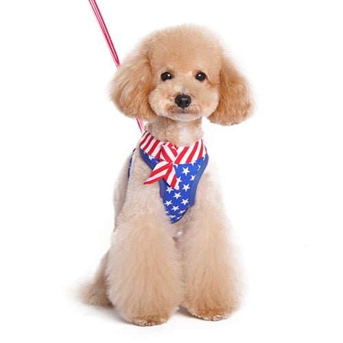 EasyGO USA Step-in Dog Harness - Adjustable & Reflective Pet Vest for Small to Large Dogs - Perfect for Walking, Running & Outdoor Adventures