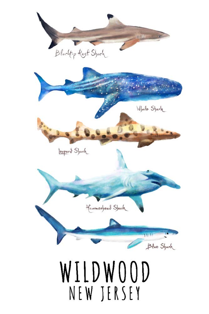 Wildwood New Jersey Shark Names Watercolor Art Print - 24x36 Signed Wall Decor Poster for Beach House, Coastal Living Room & Ocean Themed Bedroom