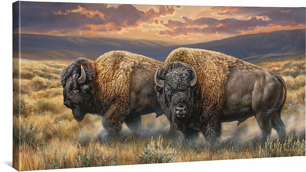 Dusty Plains Bison - 18x13 Gallery Wrapped Canvas Wall Art - Western Home Decor for Living Room, Bedroom & Office
