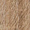 Dark Oak