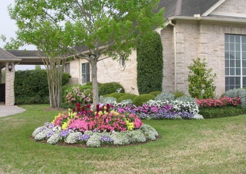 Nelson NutriStar 21-6-8 Granular Plant Food Fertilizer for Trees, Shrubs & Evergreens - 25 lb. | In-Ground, Container & Patio Use | Ideal for Landscaping, Garden Beds & Outdoor Plants