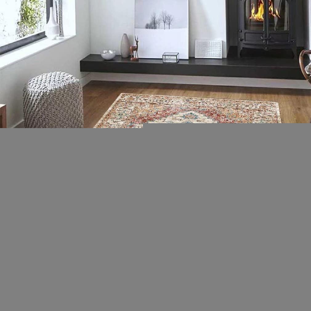 Ultra Soft Cozy Lamb Velvet Persian Area Rug - Luxury Indoor Outdoor Carpet for Living Room, Bedroom, Bathroom - Bohemian Distressed Runner Rug - Home Décor 3'x4' - Perfect for Warmth & Style in Any Space