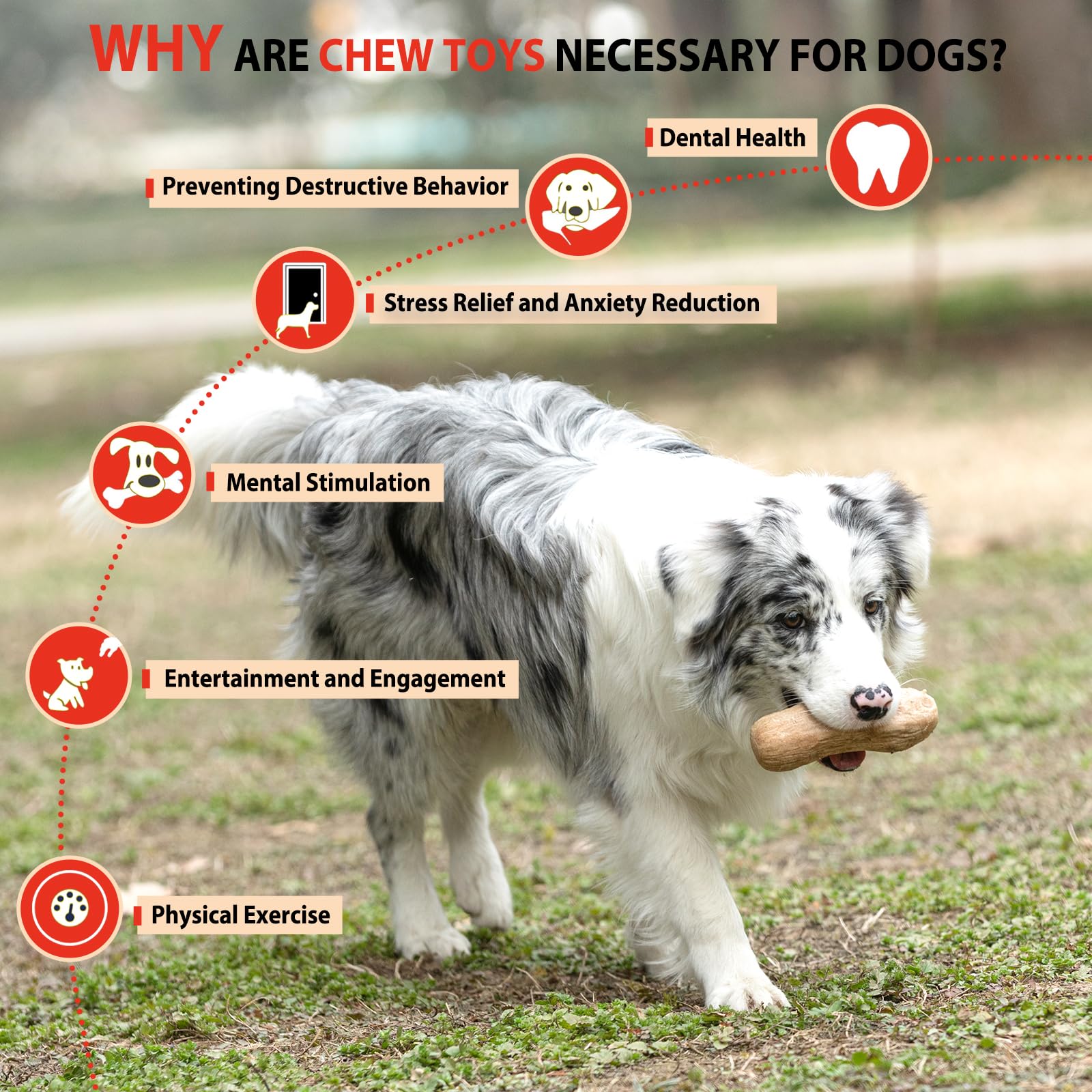 Willjoy 2-Pack Durable Pine Wood & Nylon Dog Chew Toys for Aggressive Chewers - Indestructible Bacon-Flavored Toys for Large Dogs to Keep Them Busy - Perfect for Playtime, Training & Anxiety Relief