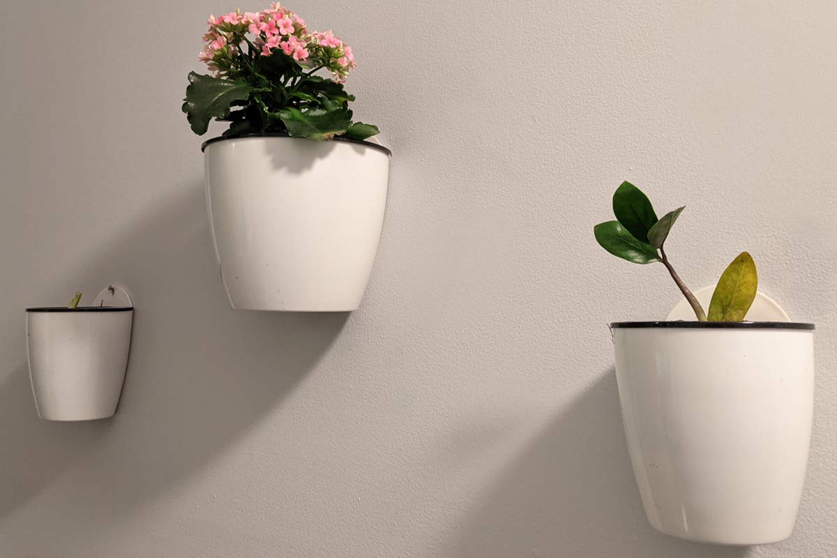 6 Pack 5 Inch Self Watering Plastic Hanging Planters - Wall Mounted Wicking Flower Pots for African Violets, Spider Plants, Orchids - Indoor & Outdoor Use - Perfect for Balconies, Patios, and Small Space Gardening