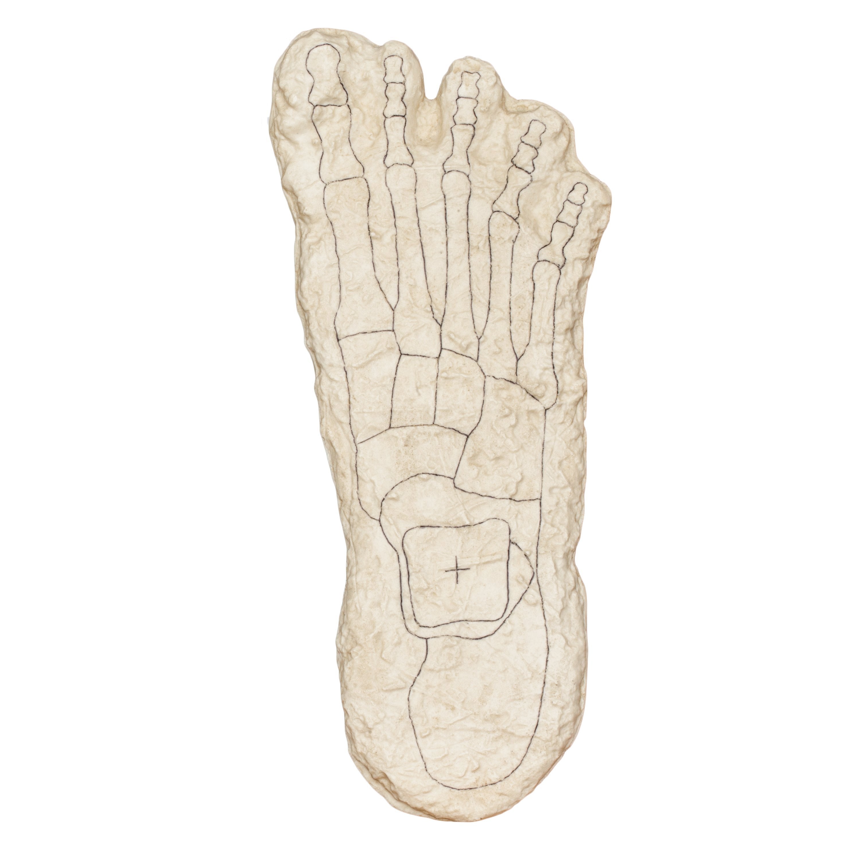Authentic Bigfoot Negative Footprints Casting Kit - Collectible Cryptid Evidence for Outdoor Exploration, Paranormal Research & Halloween Decor