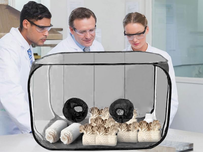 Magoog Still Air Box - Mushroom Grow Tent & Mycology Fume Hood Propagation Station (35.5x23.5x23.5 Inches) for Home Mushroom Cultivation | Perfect for Growing Oyster, Shiitake & Gourmet Mushrooms Indoors - Black
