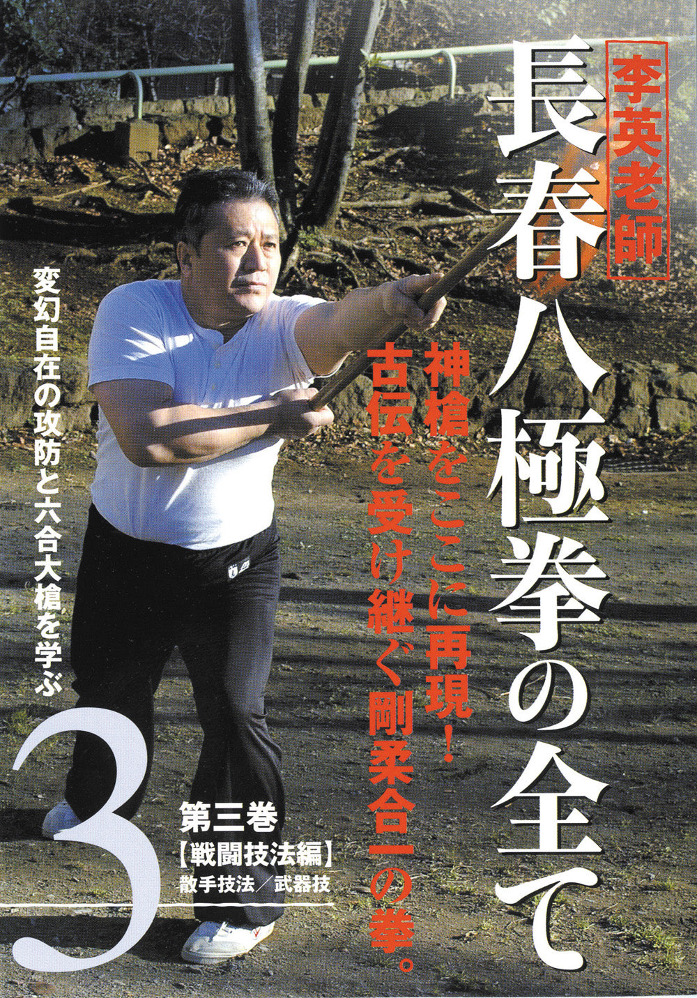 Li Ying's Chang Chun Bajiquan DVD 3 - Authentic Chinese Martial Arts Training for Self-Defense & Fitness | Home Workout, Martial Arts Practice, Self-Improvement