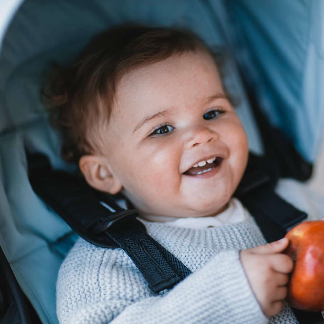 Thule Stroller Seat Liner - Soft & Breathable Baby Stroller Pad Cover for Comfort & Protection - Perfect for Urban Walks, Shopping Trips & Outdoor Adventures