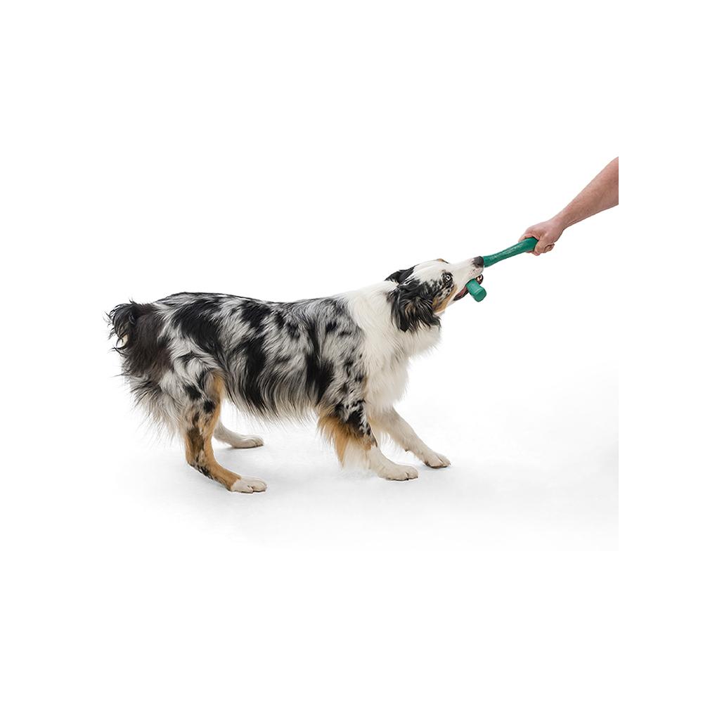 Snorkl Seaflex Floating Dog Fetch Toy - Durable Water & Beach Play Toy for Dogs - Perfect for Swimming, Pool, Lake & Ocean Fetch Games