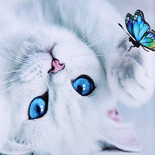 06 Cat & Butterfly