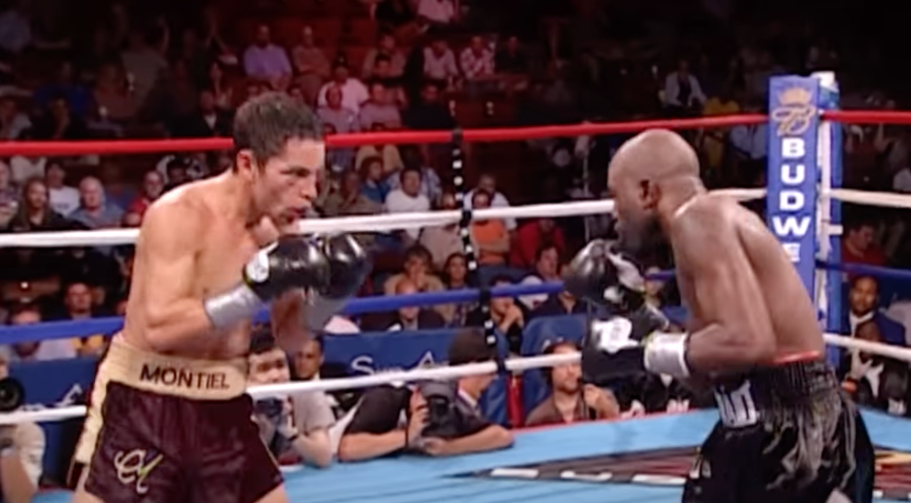 Fernando Montiel Boxing Career Highlights & Fights DVD Collection | Best Boxing Matches & Knockouts | Perfect for Boxing Fans & Training Inspiration