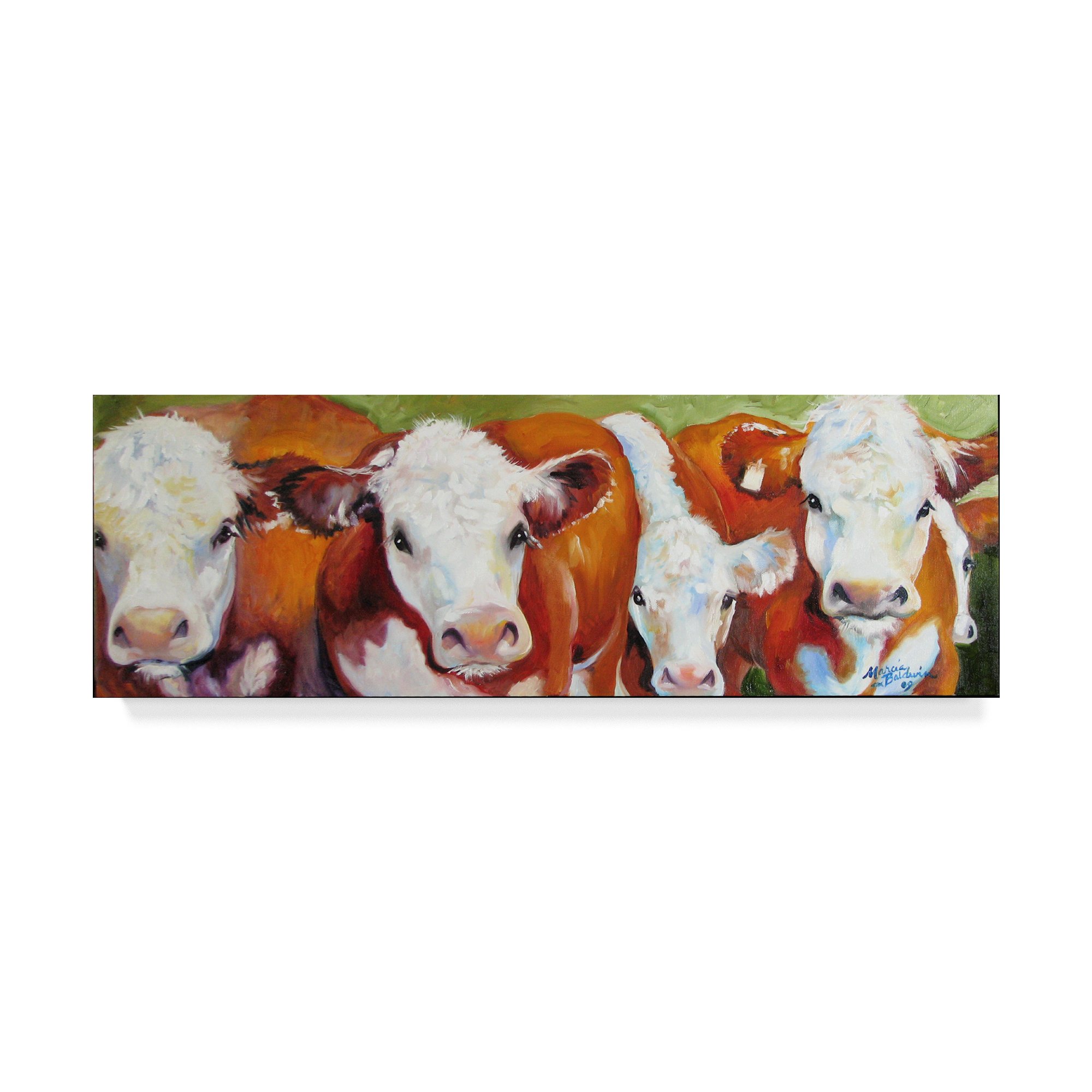 Trademark Fine Art Marcia Baldwin Multicolor Canvas Print - Perfect for Home Decor, Office & Living Room Wall Art