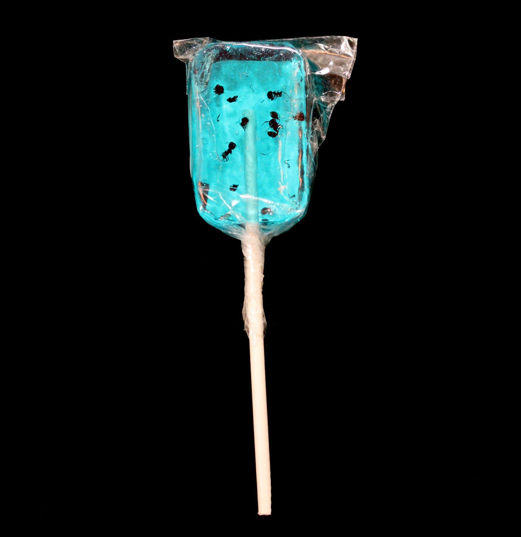 Original Ant Lix Sucker - Durable and Portable Ant Feeder for Outdoor Pest Control - Perfect for Camping, Hiking, and Backyard Use