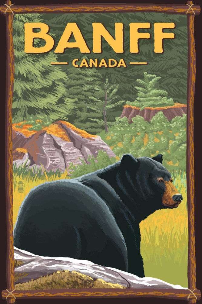 Signed 24x36 Banff Alberta Canada Black Bear in Forest Art Print - Premium Wall Decor Poster for Living Room, Office & Cabin Decor