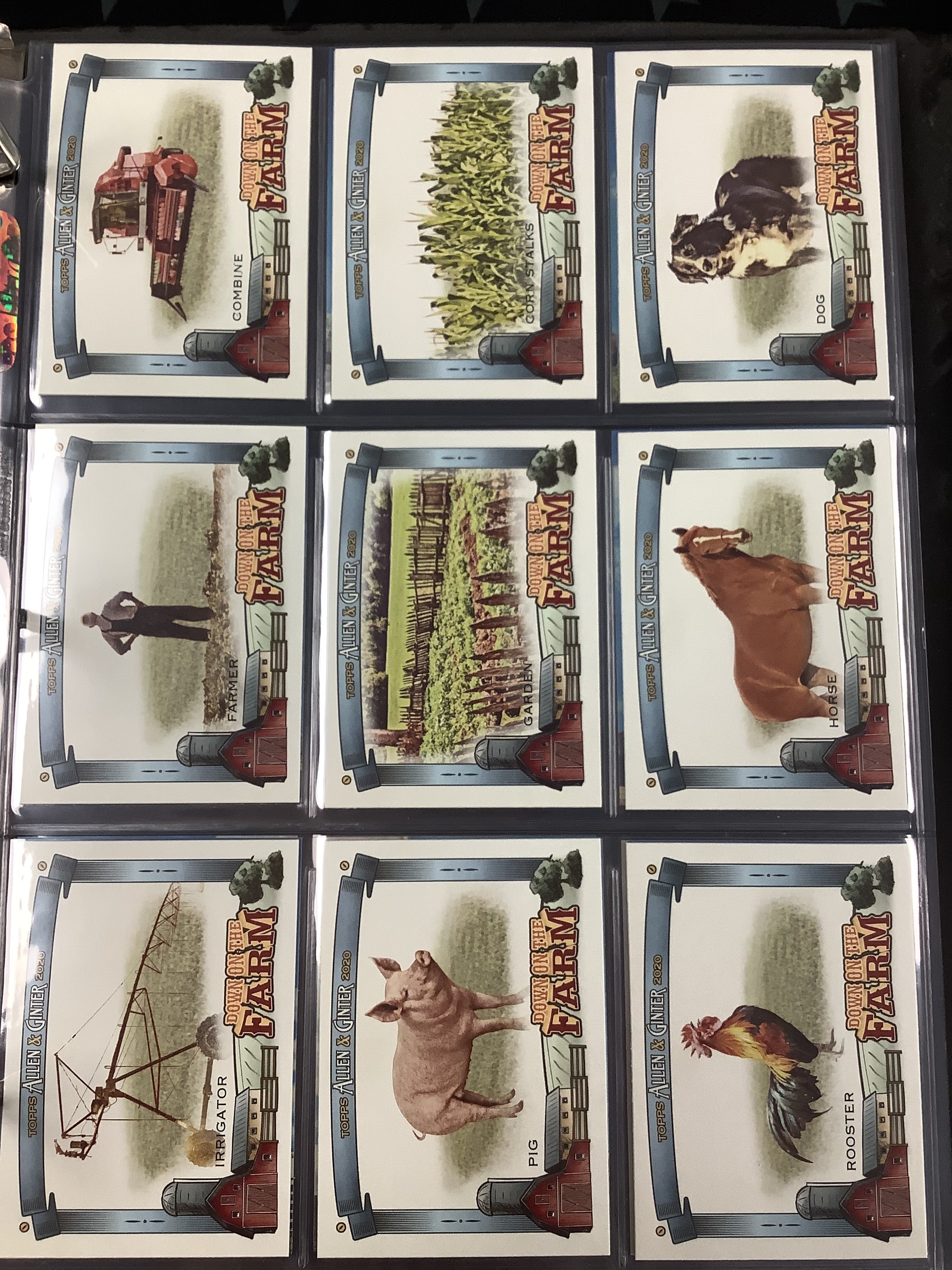 2020 Topps Allen & Ginter Complete Baseball Card Set #1-300 + SP Cards & 5 Insert Sets – Perfect for Collectors, Trading & Display