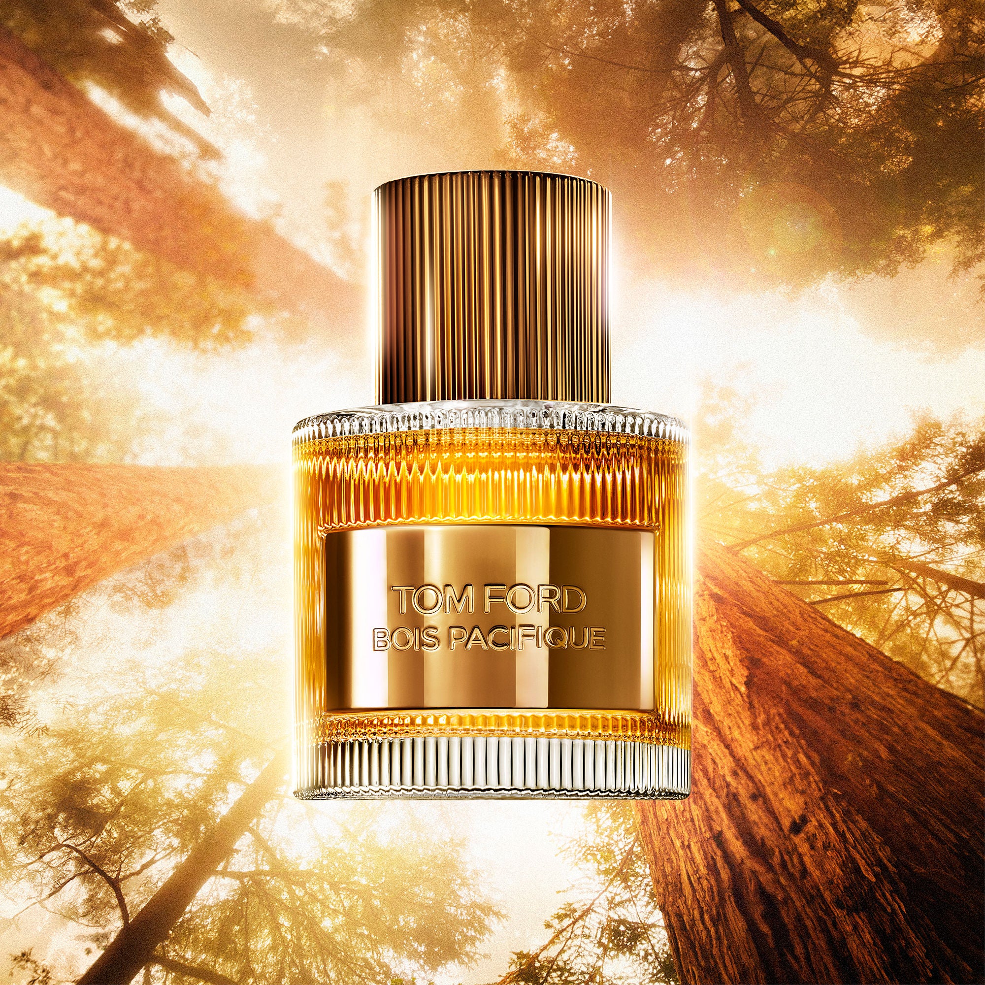 Bois Pacifique Eau De Parfum for Women - Long Lasting Luxury Fragrance with Woody & Aquatic Notes - Perfect for Date Night & Special Occasions