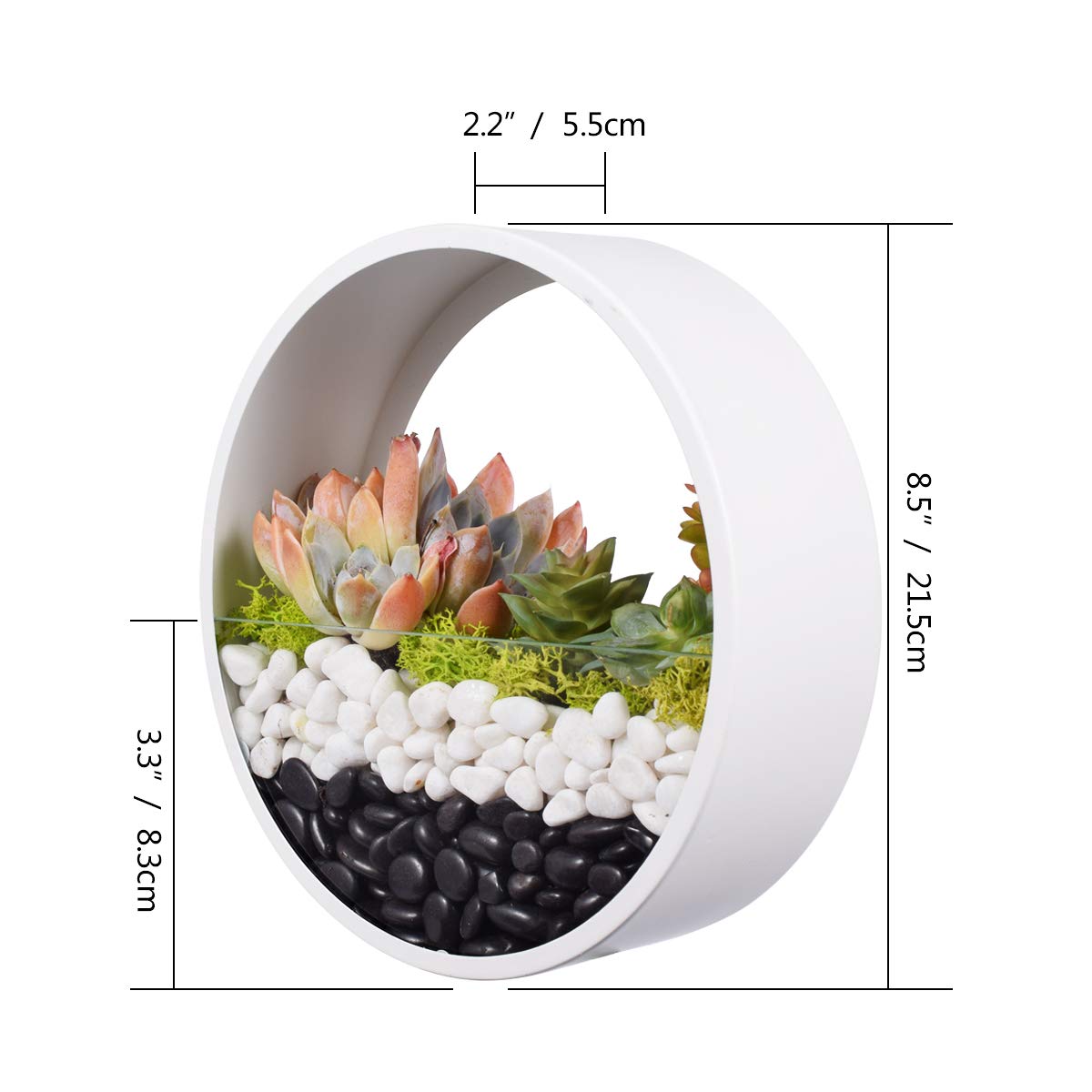 Ecosides 8