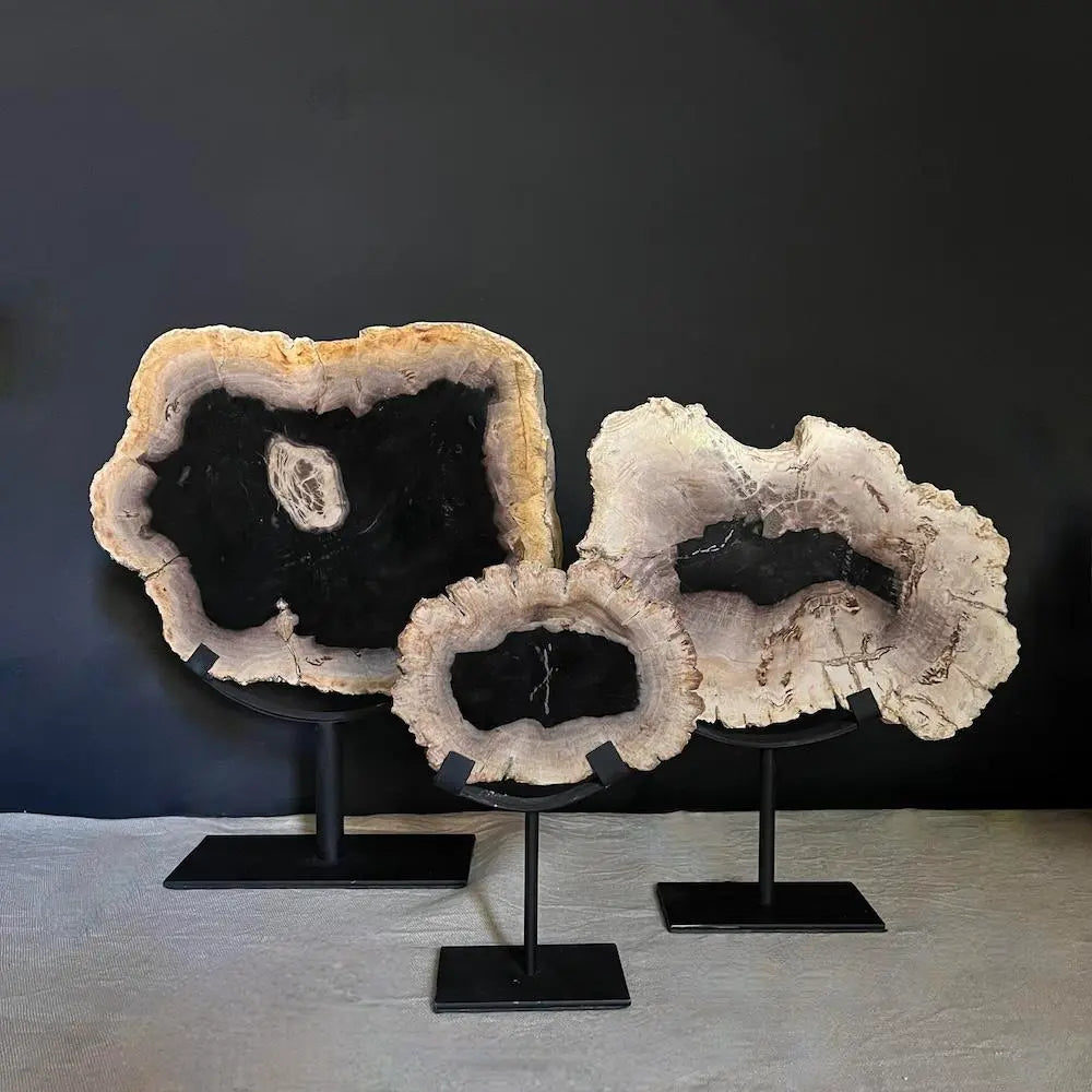 Natural Petrified Wood Slabs for Sale - Unique Fossilized Wood Pieces for Home Decor, Jewelry Making & Collectibles | Perfect for DIY Crafts, Display & Gifts