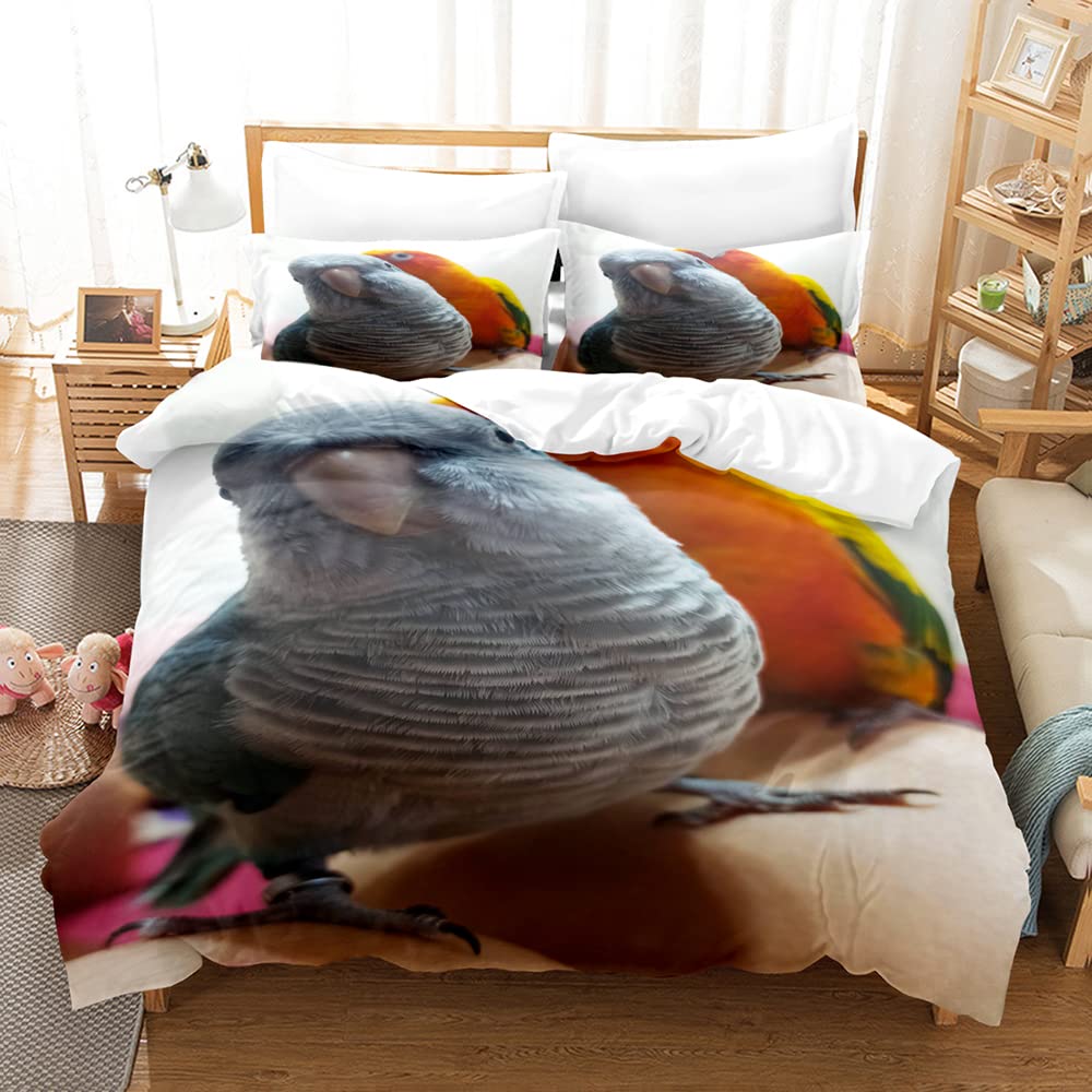 Tropical Parrot Duvet Cover Set King Size - Vibrant Exotic Bird Print Bedding with Pillowcases (Comforter Not Included) for Beach House, Boho Bedroom or Jungle Theme Decor