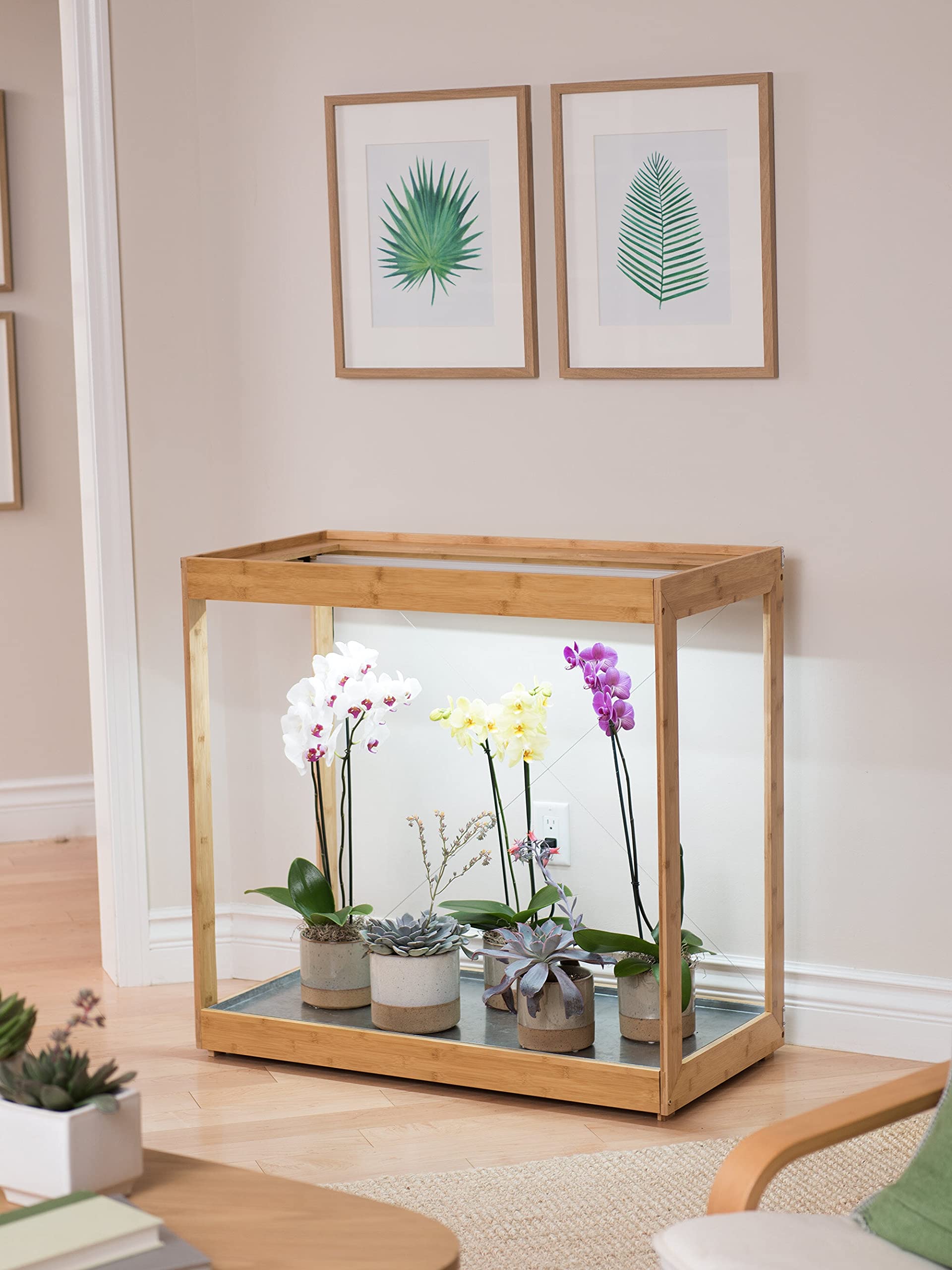 Medium Bamboo LED Grow Light Stand for Indoor Plants - Energy Efficient Grow Light for Herbs, Succulents & Seedlings | Perfect for Home Gardening, Hydroponics & Indoor Greenhouses