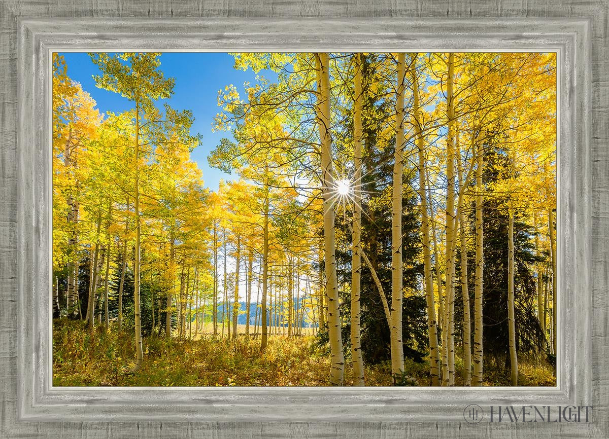 Autumn in the Rocky Mountains - Stunning Fall Foliage at Wasatch National Forest Utah | Perfect for Hiking, Photography & Nature Exploration