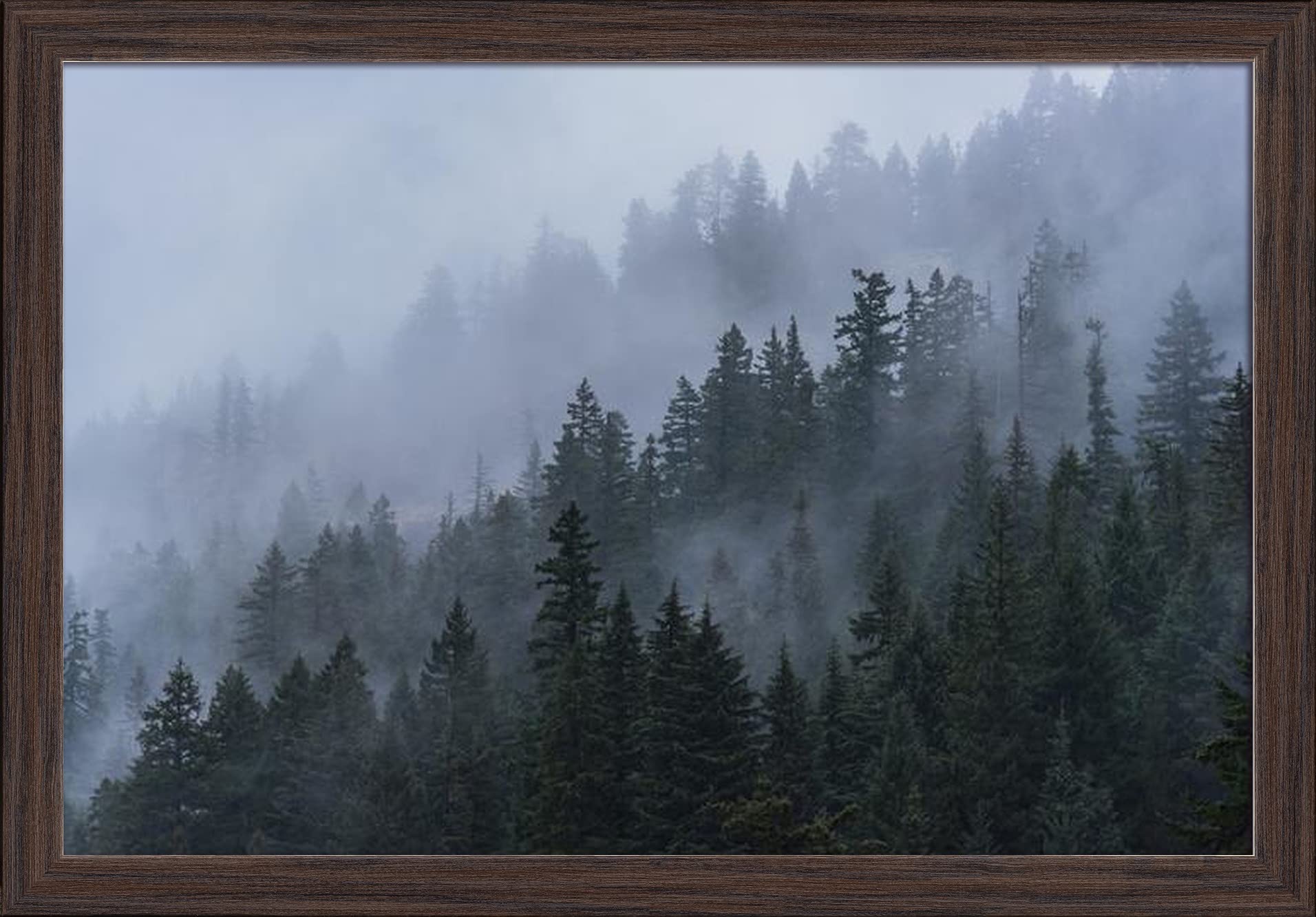 Fog & Evergreens in the Pacific Northwest - 24x16 Giclee Art Print, Gallery Framed in Espresso Wood - Nature Wall Decor for Living Room, Office & Bedroom