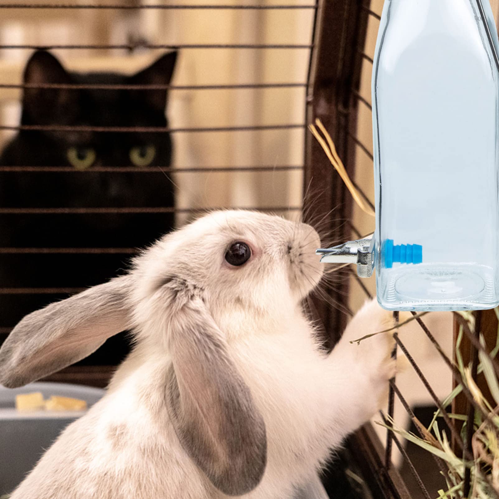**No Drip Glass Water Bottle for Small Pets - 350ml Hanging Water Dispenser for Hamsters, Guinea Pigs, Rabbits, Ferrets, Hedgehogs & Chinchillas (2-Pack) - Perfect for Cages, Travel & Daily Hydration**