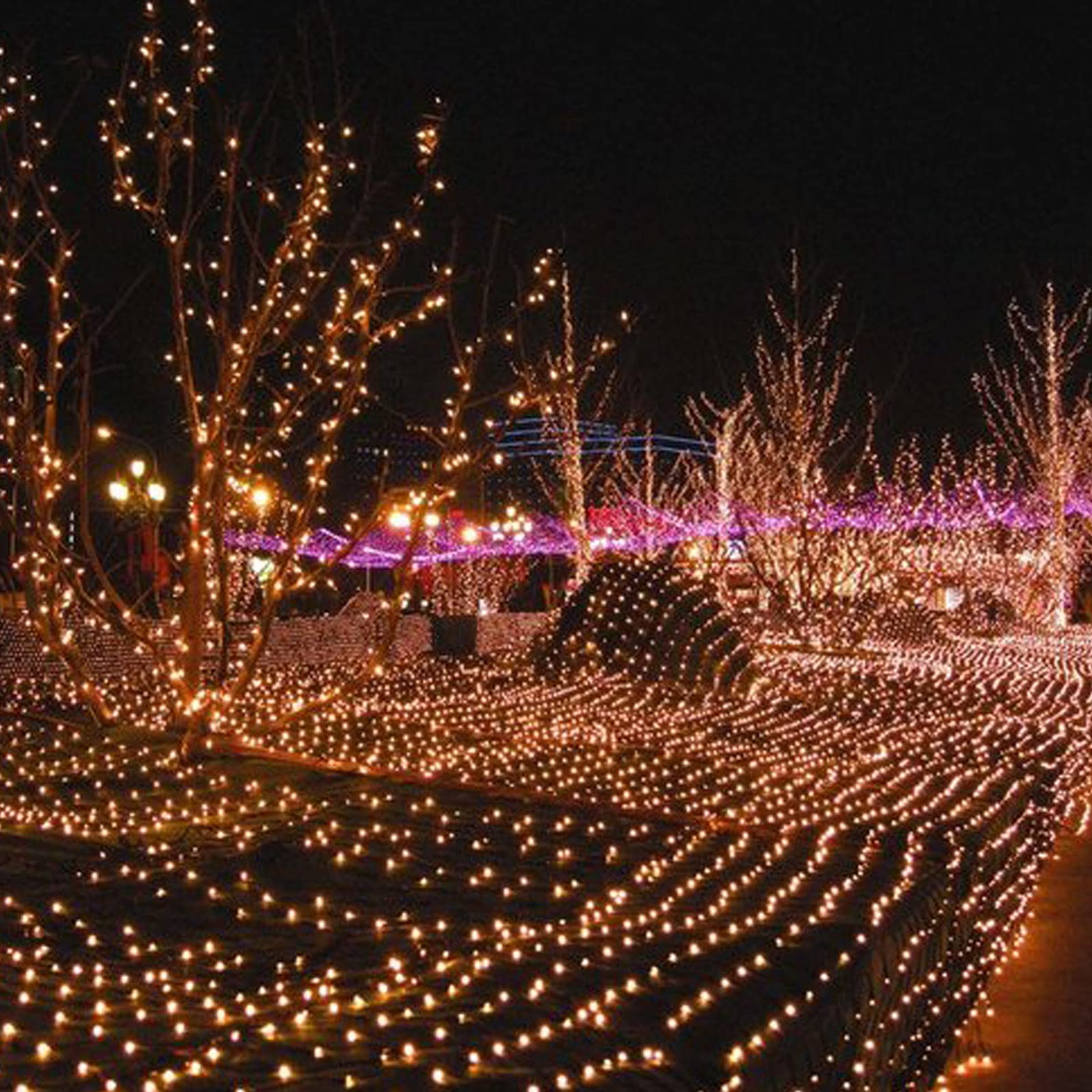 Waterproof Christmas Net Lights Outdoor - 8 Lighting Modes LED String Mesh Lights for Xmas Trees, Wedding, Garden & Party Decorations (US Plug) | Perfect for Holiday, Patio, Yard & Outdoor Christmas Decor